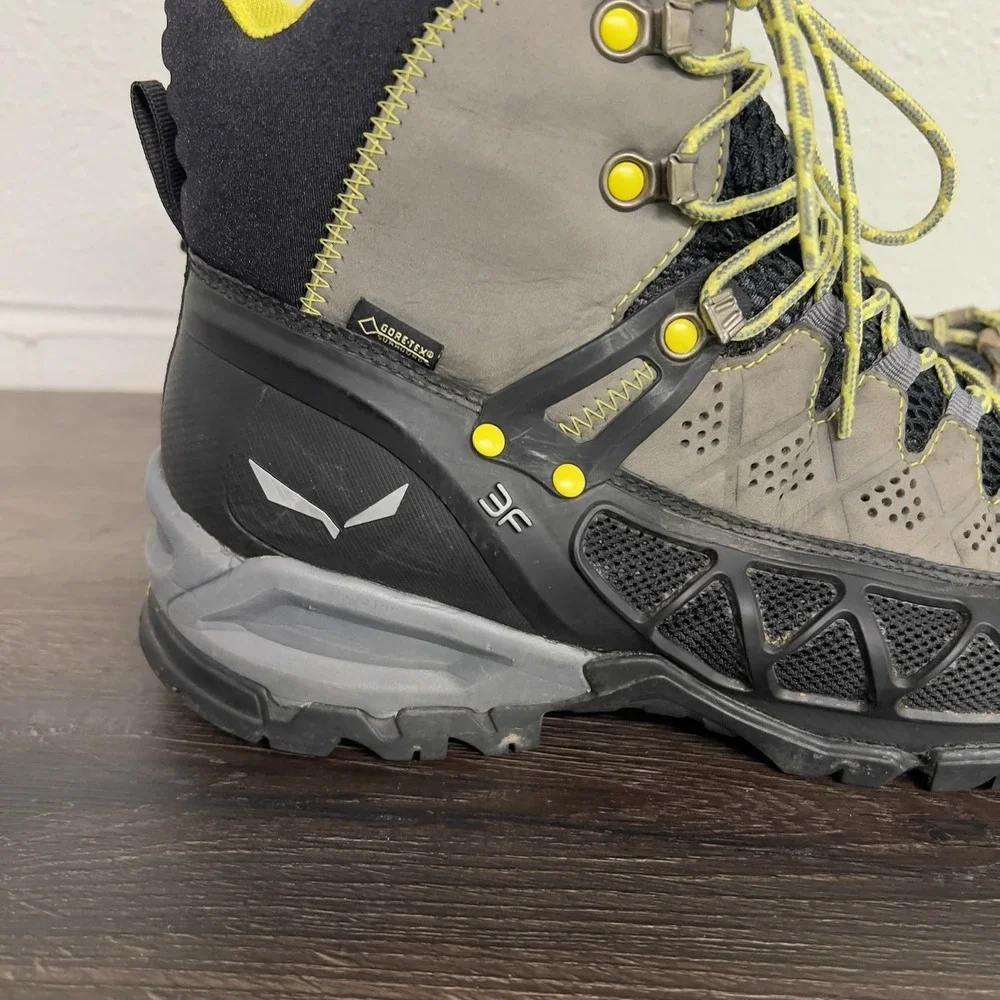 Salewa ms alp